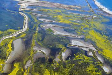 Camargue, France. © Etienne Pierart